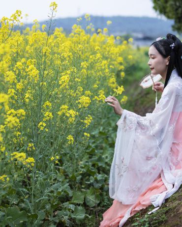 赏花