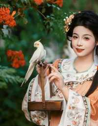 凌霄花 铁臂阿桐木