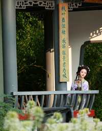 醉蝶 不可爱的禾禾喵