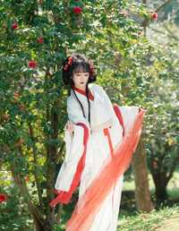 邂逅山茶花 湫一只岁岁