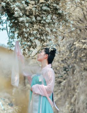 落花有意