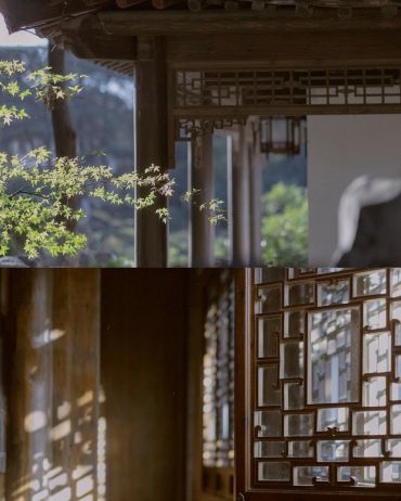 愚园秋风