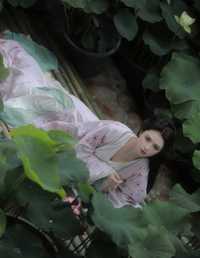 山川知夏，岁华灼灼 吾岁岁