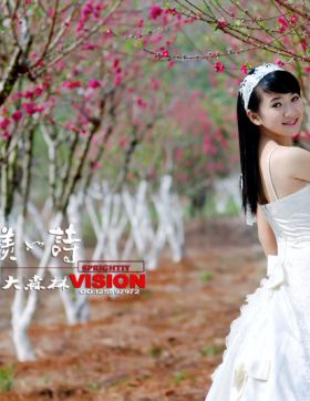 绝美如诗