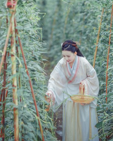 游山恋