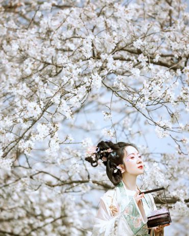 樱花里