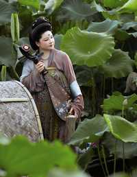 泊舟藕塘 漫漫谣