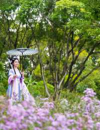 深圳园博园泰玛花田汉服写真