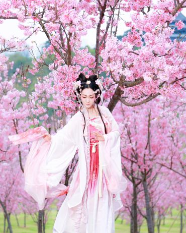 樱花都开了！