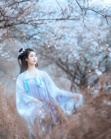 问梅子