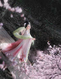 春有百花秋有月 微墨