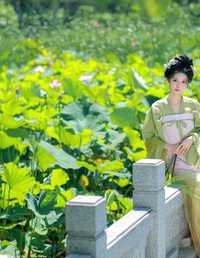 绿荫浓，夏日长 二氧化棠