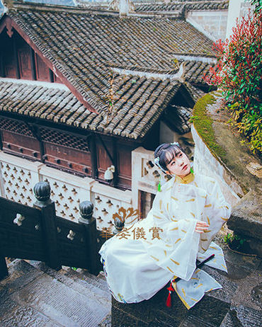 倾羽