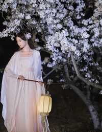 叶冰裳仿妆 褚鸢鸢