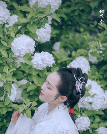 《惜花春》