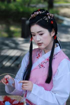 红楼梦黛玉葬花