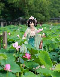 十里芙蕖 不可爱的禾禾喵