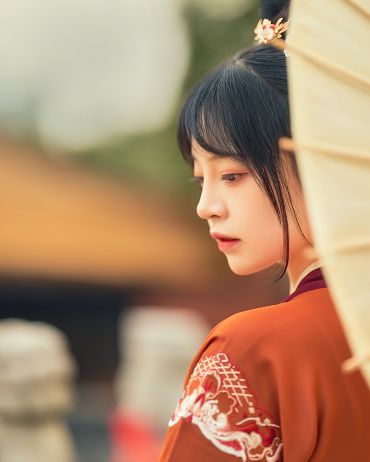 梦回长安