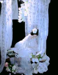 白牡丹 芋媛一碗