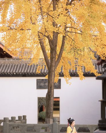 离·思
