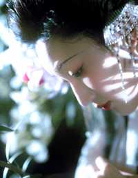 魂魄不曾入梦来 敏茵茵