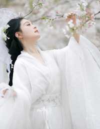 万物清明 岁岁如意