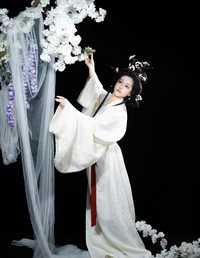 战国袍｜遥知不是雪