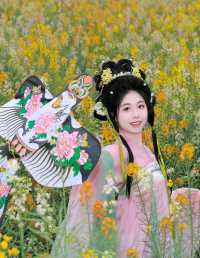 油菜花的季节