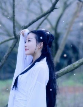 梅林遇见小龙女