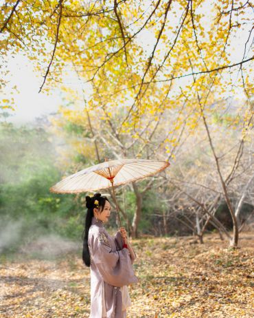 菩提本无树，明镜亦非台