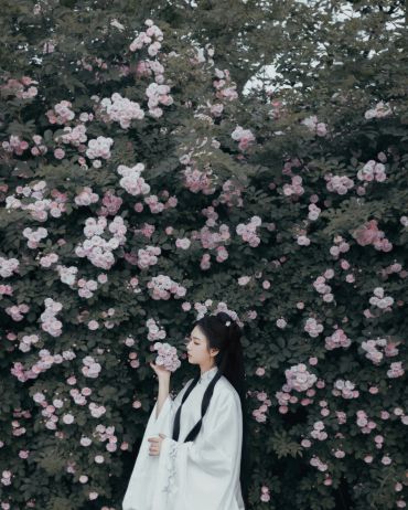 很喜欢的一组花花