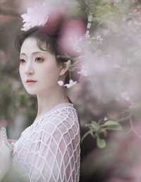 海棠依旧 飞飞想暴富