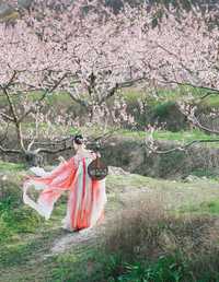 古风桃花人像 夏煦
