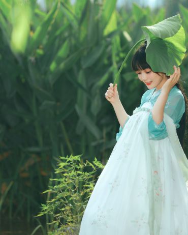 夏 雨 荷