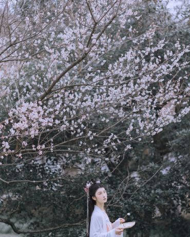 问·梅
