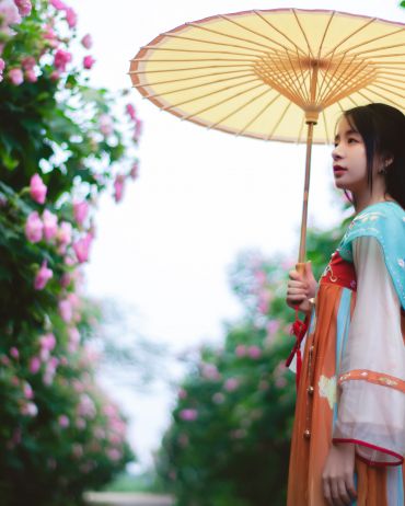 芙蓉花古风人像