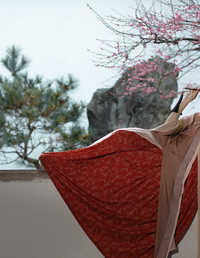 春樱 周轩亦（南园竹子）