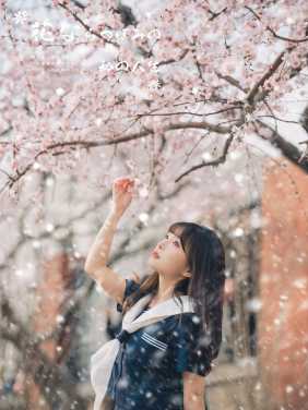 与桃花相遇的日子