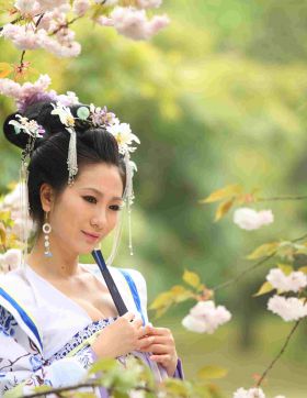 晚樱啊晚樱