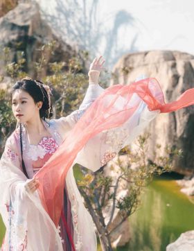 云想衣裳花想容