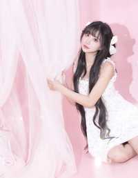 三只布朗熊 绮罗生的小苏苏