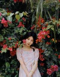 春语姑娘 紫卿