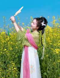春天来了 油菜花开