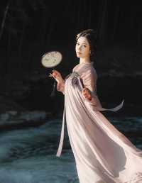 仙鹤 葵花花花儿