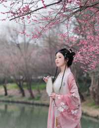 春风若有怜花意
