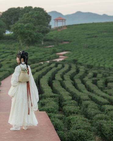 润泽茶园宿雨离，葱茏一片嫩芽滋