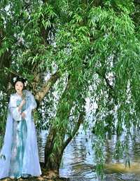 春日少女 梨荼白