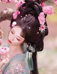 十二花神之梅花 欢欢