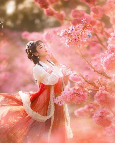 紫花风铃木