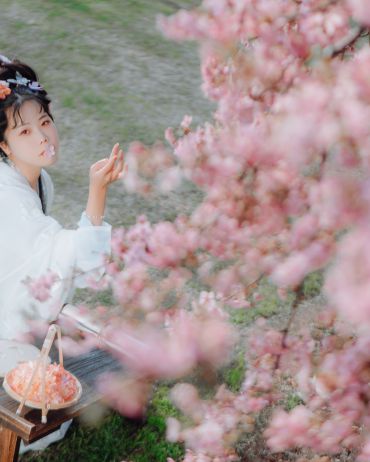 樱花季